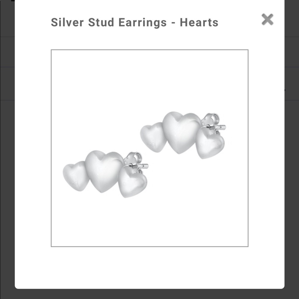 925 Sterling Silver earrings